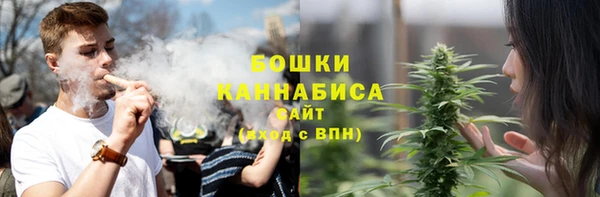 spice Карпинск