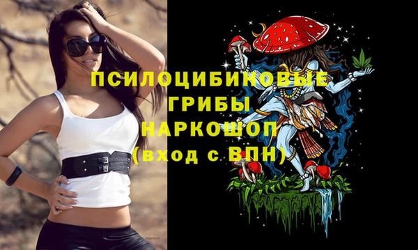 spice Карпинск